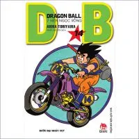 Dragon ball T14
