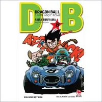 Dragon ball T8